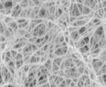 Cellulose Nanofiber (CNF)