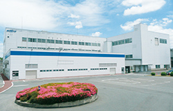 Hachihonmatsu Plant photo