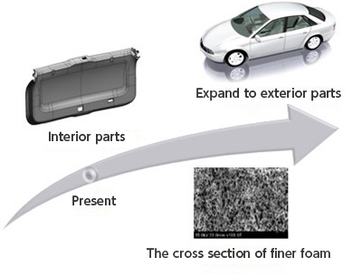 Establishment of Foam Molding Methods